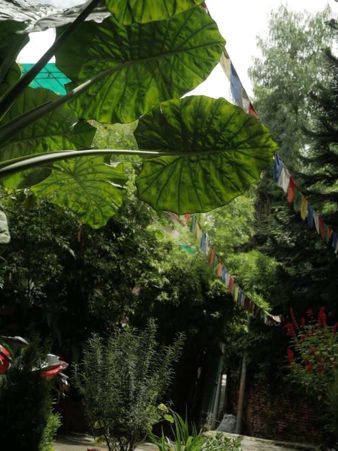 Nirvana Green Peace Home Κατμαντού Εξωτερικό φωτογραφία