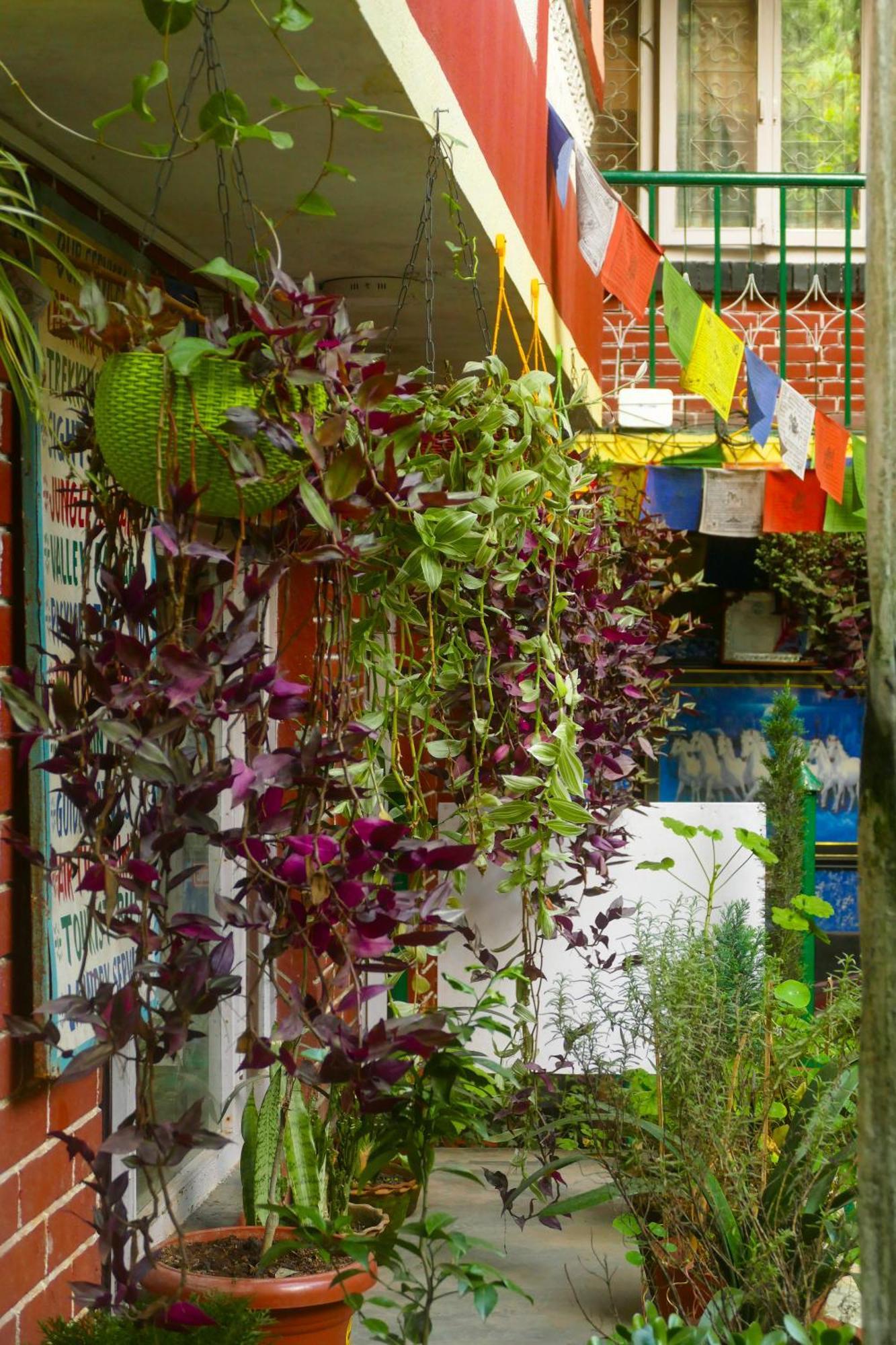 Nirvana Green Peace Home Κατμαντού Εξωτερικό φωτογραφία
